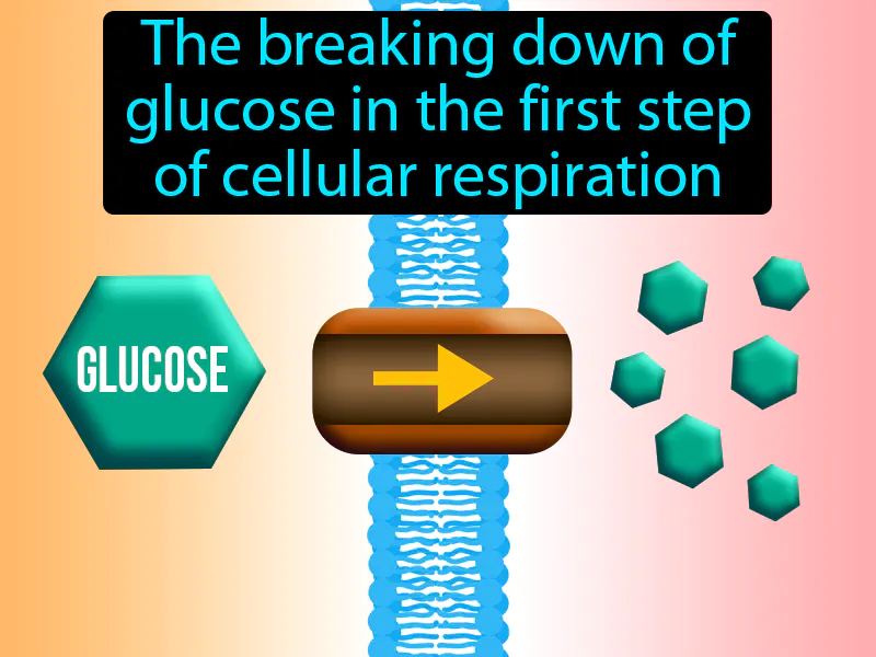 Glycolysis Definition