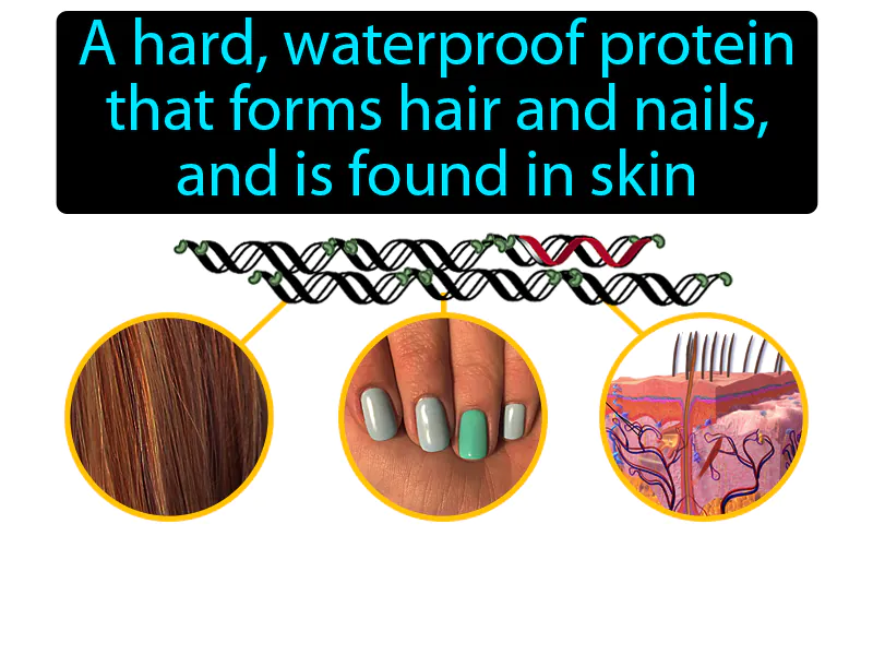 Keratin Definition