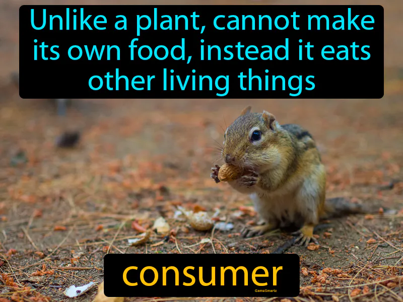 Consumer Definition