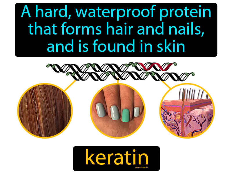 Keratin Definition