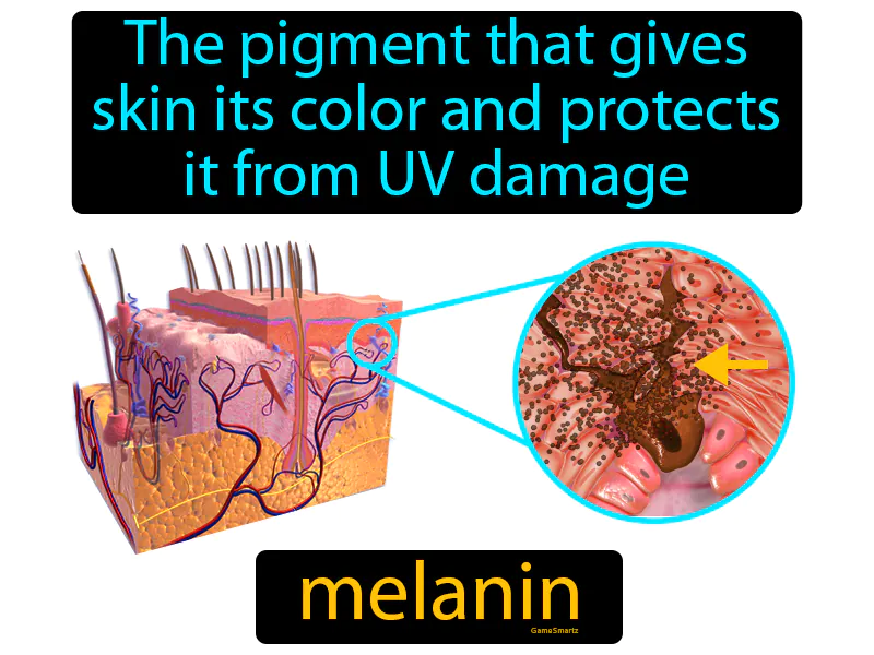 Melanin Definition