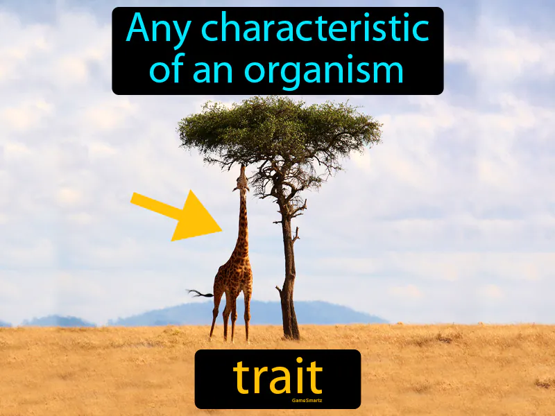 Trait Definition